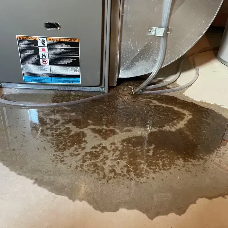 Appliance Leak Cleanup in Shirley, NY